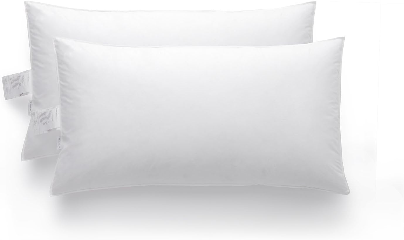zestilk 白色鹅羽毛和羽绒超牢固枕头,2 件装 白色 king b01lznoj8a