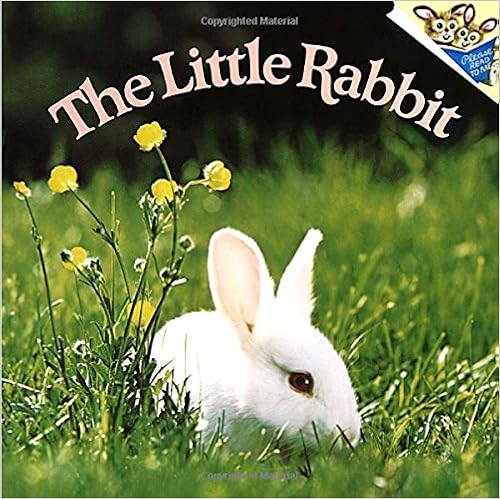 《the little rabbit》 【摘要 书评 试读】图书