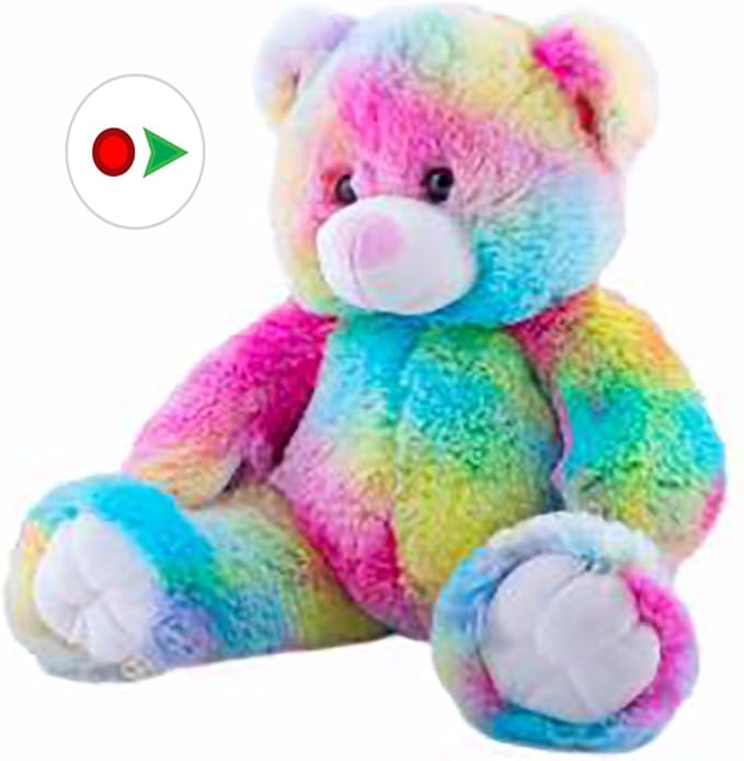 记录您自己的毛绒 16 英寸彩虹熊 - 几步简单完成 2 爱