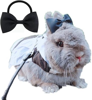 带围裙 lolita 角色扮演服装万圣节服装可调节兔子服装适合兔子豚鼠