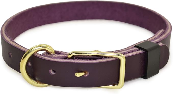j&amp;j dog supplies jj320-pur 皮革项圈,紫色,16-20英寸(约40.