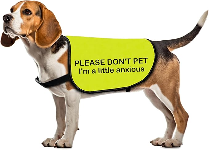 pet i am a little anxious dog 背心狗狗行走口号警告背心(小*-中号)