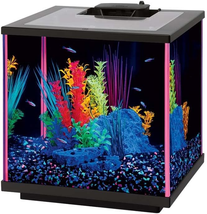aqueon neoglow led 水族箱套件粉色,5.