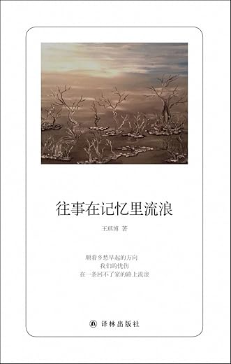 往事在记忆里流浪