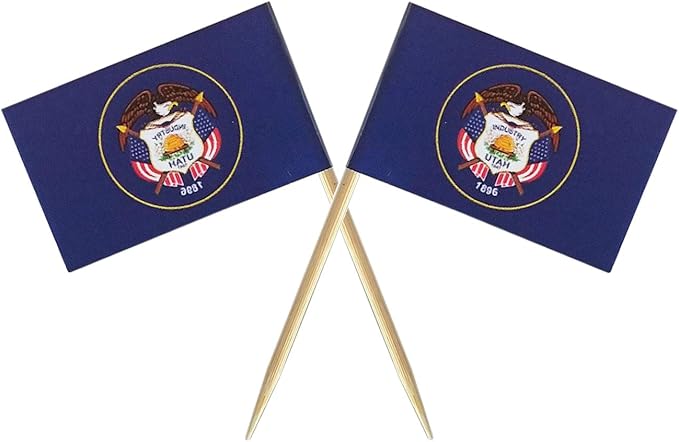 nesha utah 牙签装饰旗(100 只装)