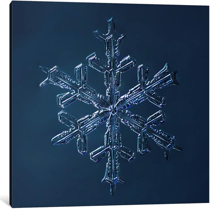 icanvasart stellar dendrite snowflake 001.2.16.