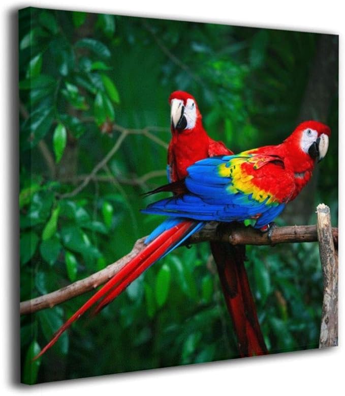 温暖艺术彩色鹦鹉小鸟在树上 3 件帆布印刷墙壁艺术油画客厅餐厅卧室