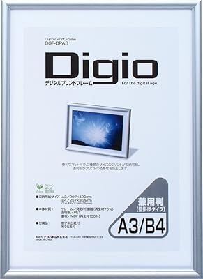 nakabayashi 相框 a3开 /b4尺寸 dgf-dpa3