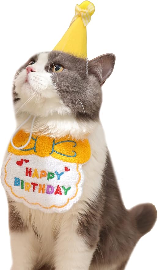 qwinee 狗狗派对装饰套装猫生日头巾帽子生日帽围巾小狗小猫小女孩