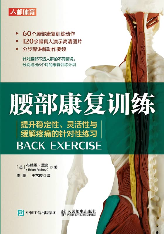 腰部康复训练 提升稳定性 灵活性与缓解疼痛的针对性练习 专为腰痛人群打造 提升稳定性 灵活性和缓解疼痛的针对性练习 Ebook 布赖恩 里奇 亚马逊中国 图书