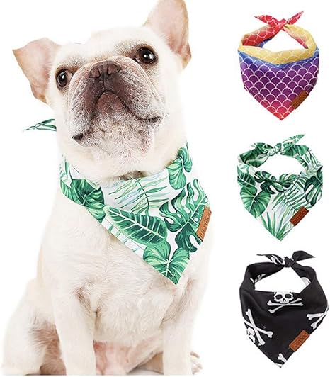 Cheeseandu 3 件装宠物头巾 适合小型犬 猫咪可爱新奇热带叶子美人鱼骷髅印花柔软三角围兜围巾项圈配件 适合宠物假日派对生日万圣节服装 亚马逊中国 宠物用品