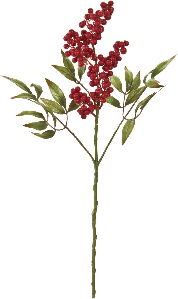 Magiq 东京堂正月优质花万叶南天小fj 東京堂 价格报价图片