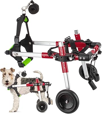 狗狗移动*带轮椅,双轮可调节狗轮椅,适用于后腿康复,小型宠物狗轮椅
