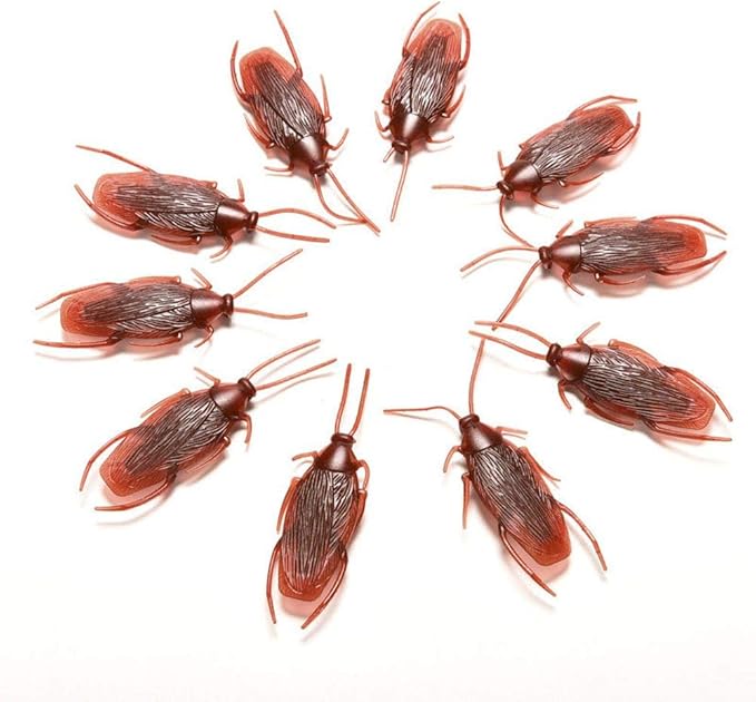 minlia 10 件逼真有趣的模拟蟑螂玩具,模拟黑甲虫假蟑螂玩具