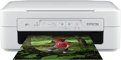 epson expression xp 255