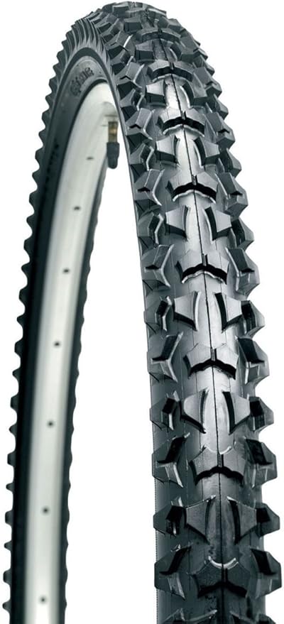 raleigh ryder 自行车轮胎