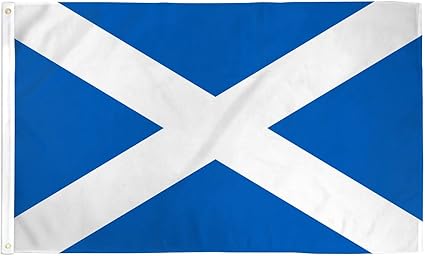 Superdaves Superstore 3x5 苏格兰十字旗圣安德鲁旗saltire 苏格兰旗帜全新 厨具 亚马逊中国