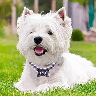 luckwelry 珍珠项链钻石水晶狗珍珠项链项圈带闪亮水钻骨头狗珍珠首饰