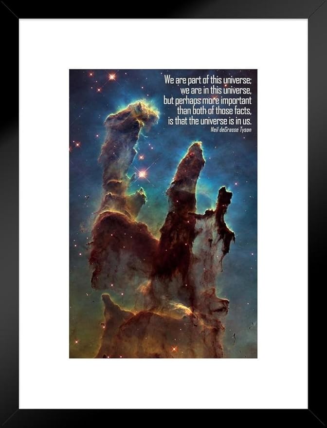 海报创始人 we are part of this universe ndt 著名励志引言哑光带框