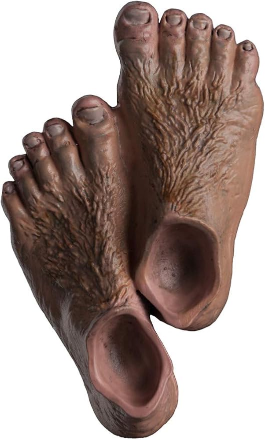 lord of the rings 冰箱磁贴(塑料) - hobbit feet : 亚马逊中国