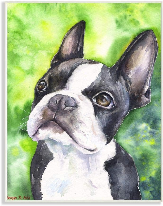 Stupell Industries 可爱波士顿梗犬宠物动物水彩画墙匾 12 X 18 多色 Stupell Industries 价格报价图片