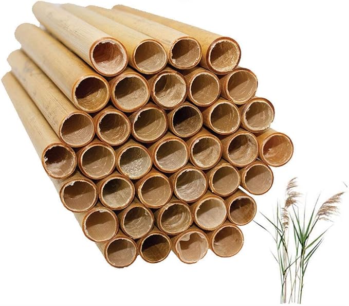 mason bee tubes 天然芦苇管蜂蜂蜂巢插件授粉套件蜜蜂屋砖蜂巢家庭