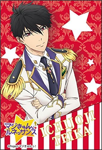 魔法少女 文艺复兴一条寺帝歌方形磁铁 玩具 亚马逊中国