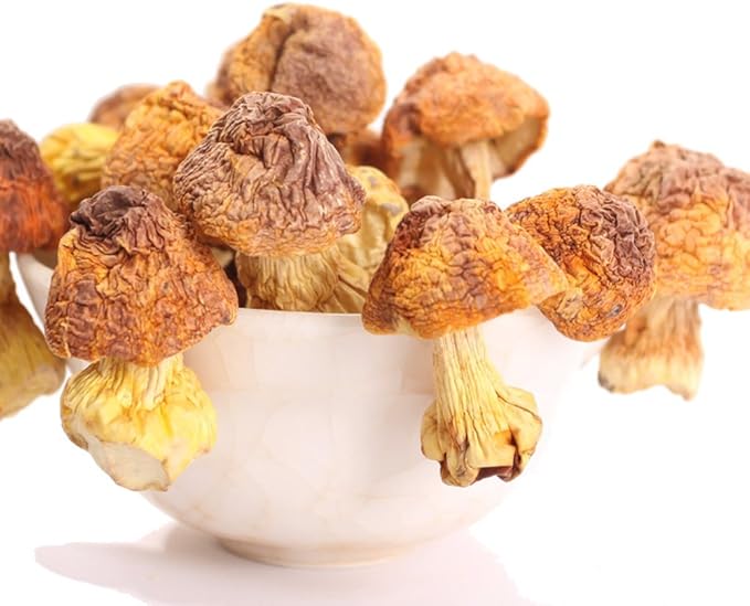 惜味轩云南野生姬松茸巴西蘑菇美味滋补250g