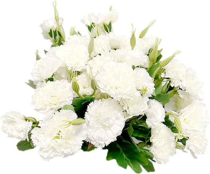 4 束人造丝绸花白色康乃馨永久花朵,30.