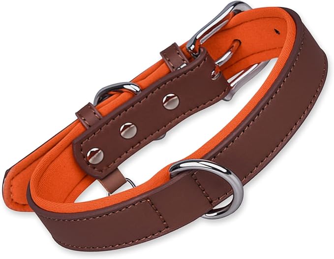 modixun 重型皮革狗项圈,带可调节金属扣,柔软衬垫撞色宠物项圈,适合