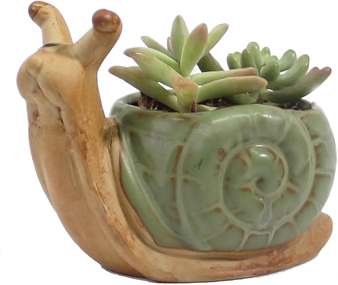 sunsmil 卡通动物花盆多肉陶瓷植物盆,蜗牛迷你花盆容器创意家居装饰