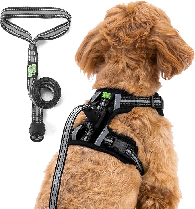 易锁狗狗胸背带和牵引绳套装,适合小型犬品种,磁性扣反光背心,带训练