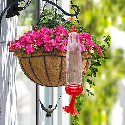 2 件装蜂鸟喂食器具有独特形状 适合户外 易于清洁和补充花蜜 包括适合悍马爱好者的悬挂电线 红色 2 亚马逊中国 宠物用品