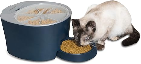 Petsafe 猫狗食品分配器 自动6 餐或数字2 餐宠物喂食器 非常适合猫或小型犬 亚马逊中国 宠物用品