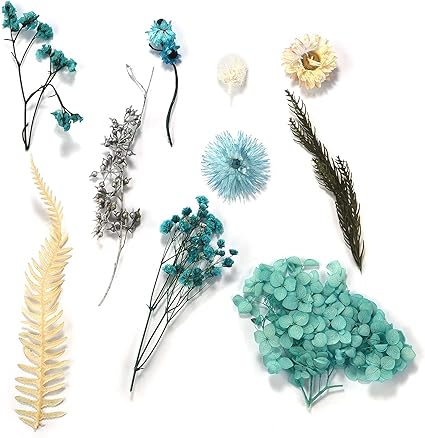 Sevenwell 1 件装真干花叶套件青色压花天然植物肥皂蜡烛树脂珠宝制作 书签制作 款式d 亚马逊中国 办公用品