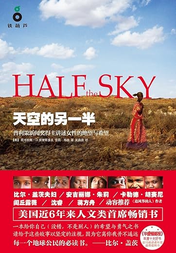 天空的另一半：普利策新闻奖得主讲述女性的绝望与希望