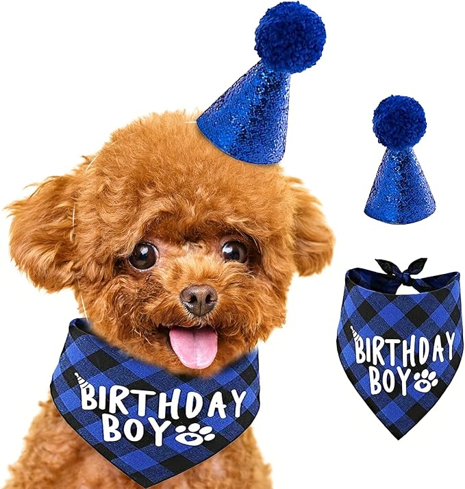 狗狗蓝色生日派对用品宠物生日帽男孩小狗生日围巾套装.