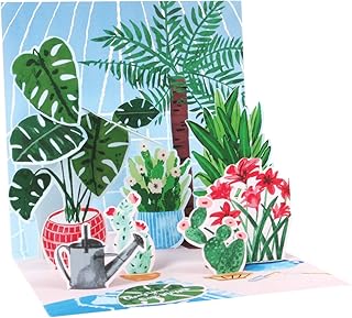 up with paper pop-up treasures 贺卡 – 温室