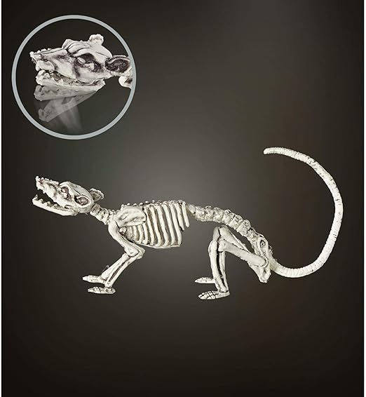 widmann 07090 老鼠骨架,中性 - 成人,灰色,38 厘米