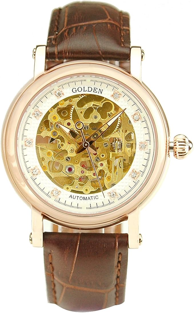 瑞士 golden 古尊自动机械蓝宝石镂空男表 6005m(k)