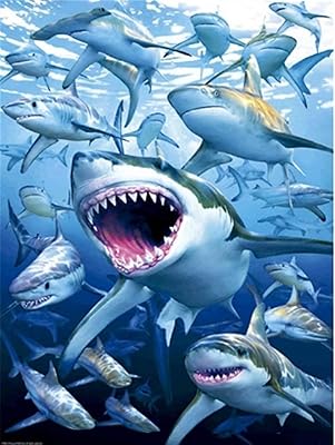 5d 钻石画鲨鱼 diy 钻石艺术套件成人儿童刺绣艺术工艺家居装饰墙饰