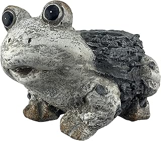red carpet studios 室内/室外 3d 复合动物花盆,迷你,石青蛙