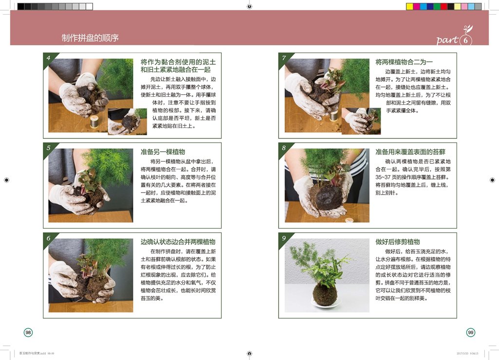 苔玉制作与欣赏 摘要书评试读 图书