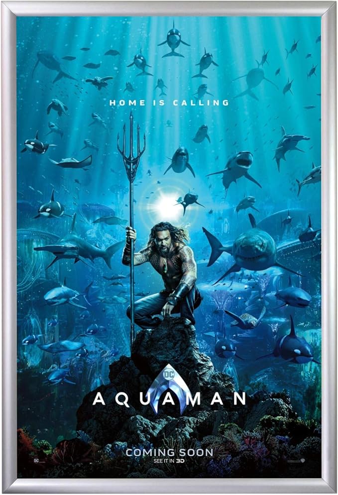 movie poster frame 24x36 inches, silver snapezo 1.