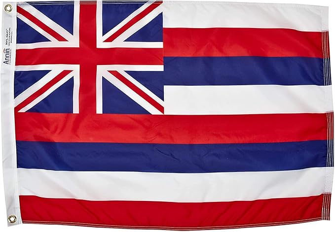 annin flagmakers 夏威夷州旗美国制造 - 符合官方国家设计规格,5 x 8