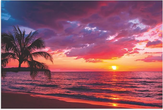 粉色日落海报 - 墙壁艺术 - 大号 60.96 x 40.64 厘米