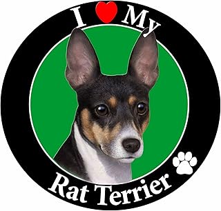 e&s 宠物汽车磁铁,rat terrier