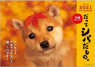 挂历 亚马逊日本 挂历 日历台历与日程安排 办公用品 Amazon Cn