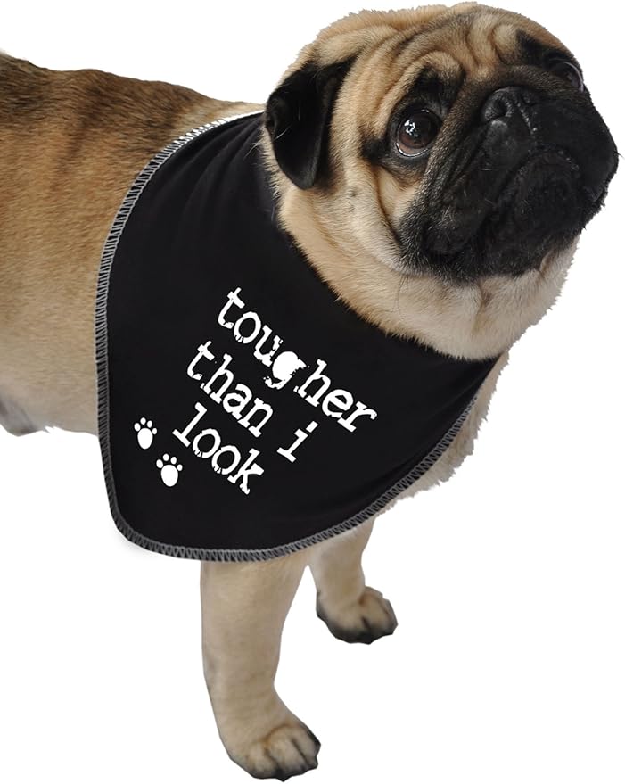 ruff ruff and meow 小狗头巾,tougher than i look,黑色,大号