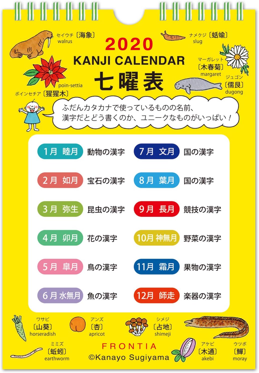 Frontiia 年日历壁挂式quu S Cal 26 亚马逊中国 办公用品